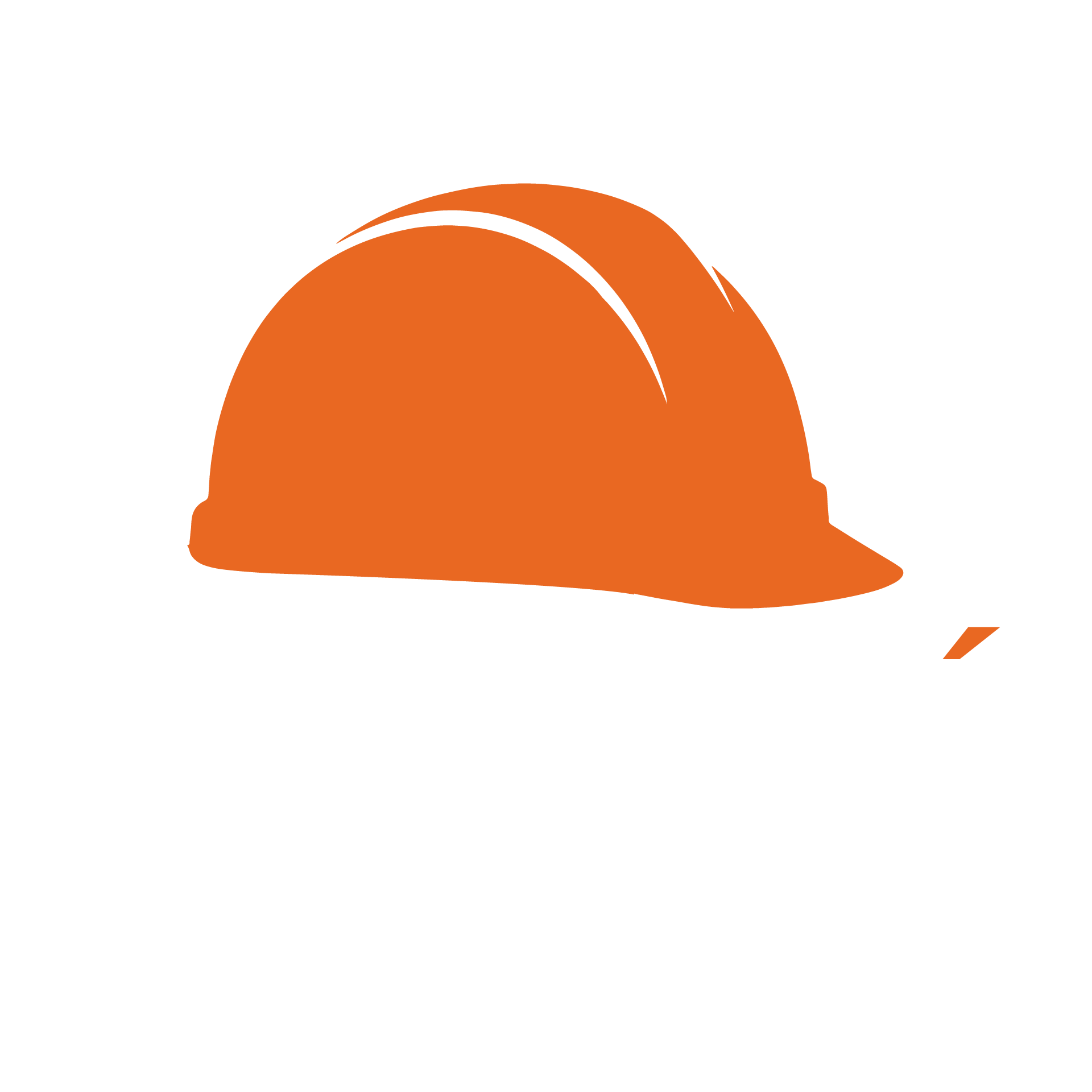 FormaSi